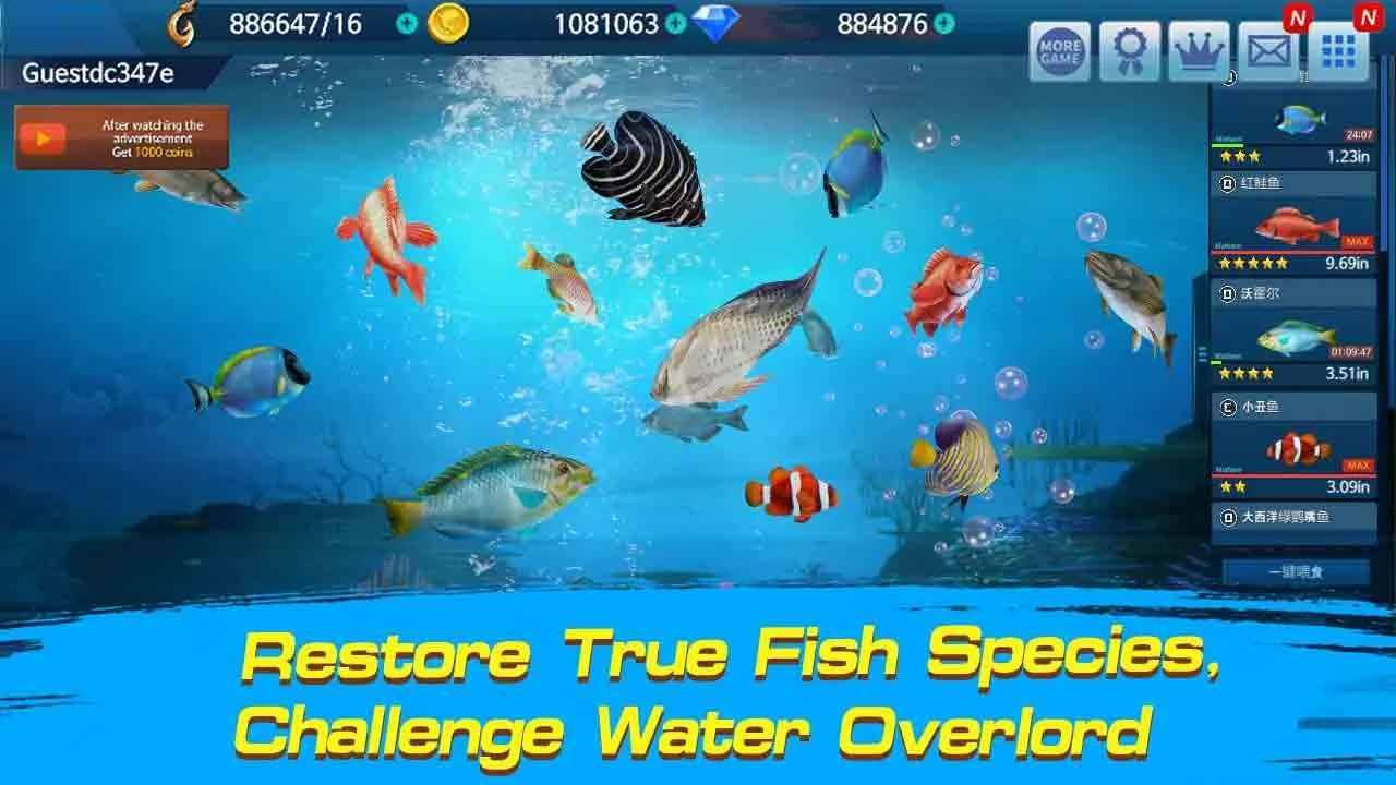 Fishing Championship Mod